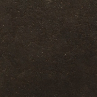 Petra Negro